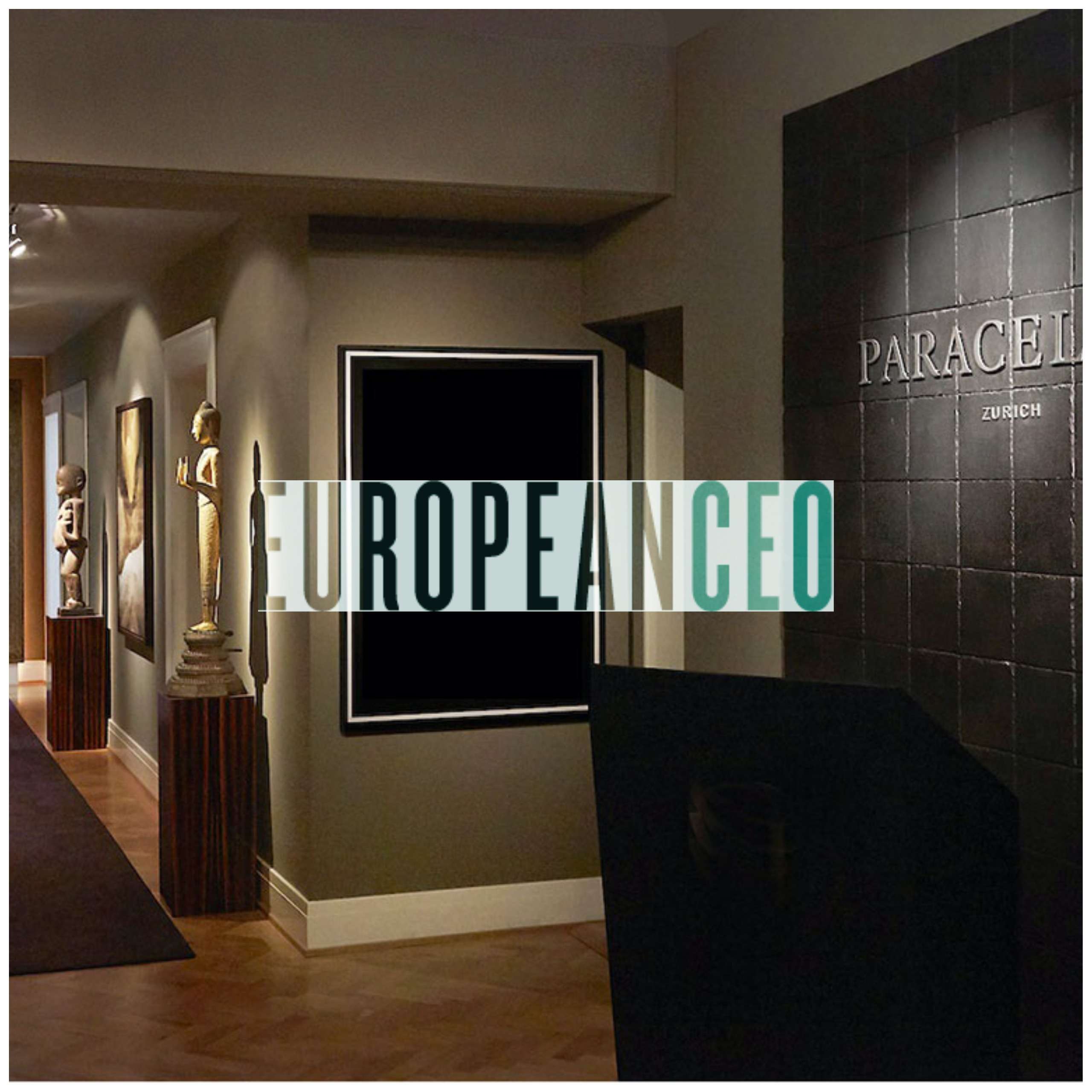 European CEO - Paracelsus Recovery