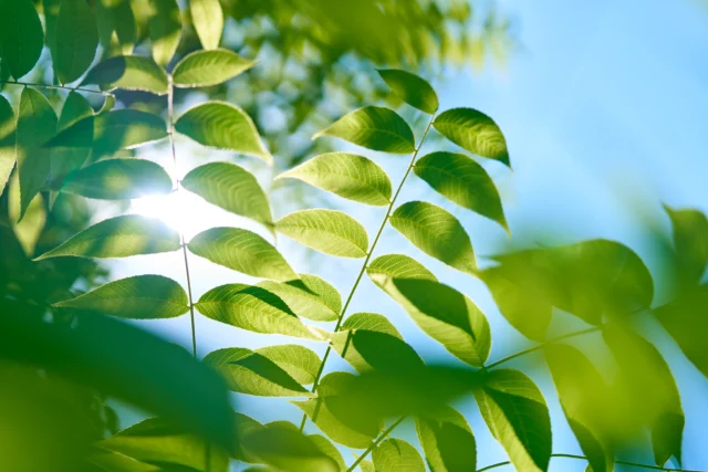 Personalized health consultation