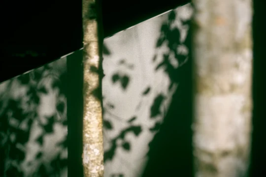 Therapist and client in session at Paracelsus Recovery