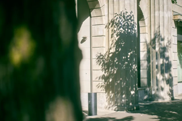 Holistic treatment approach at Paracelsus Recovery