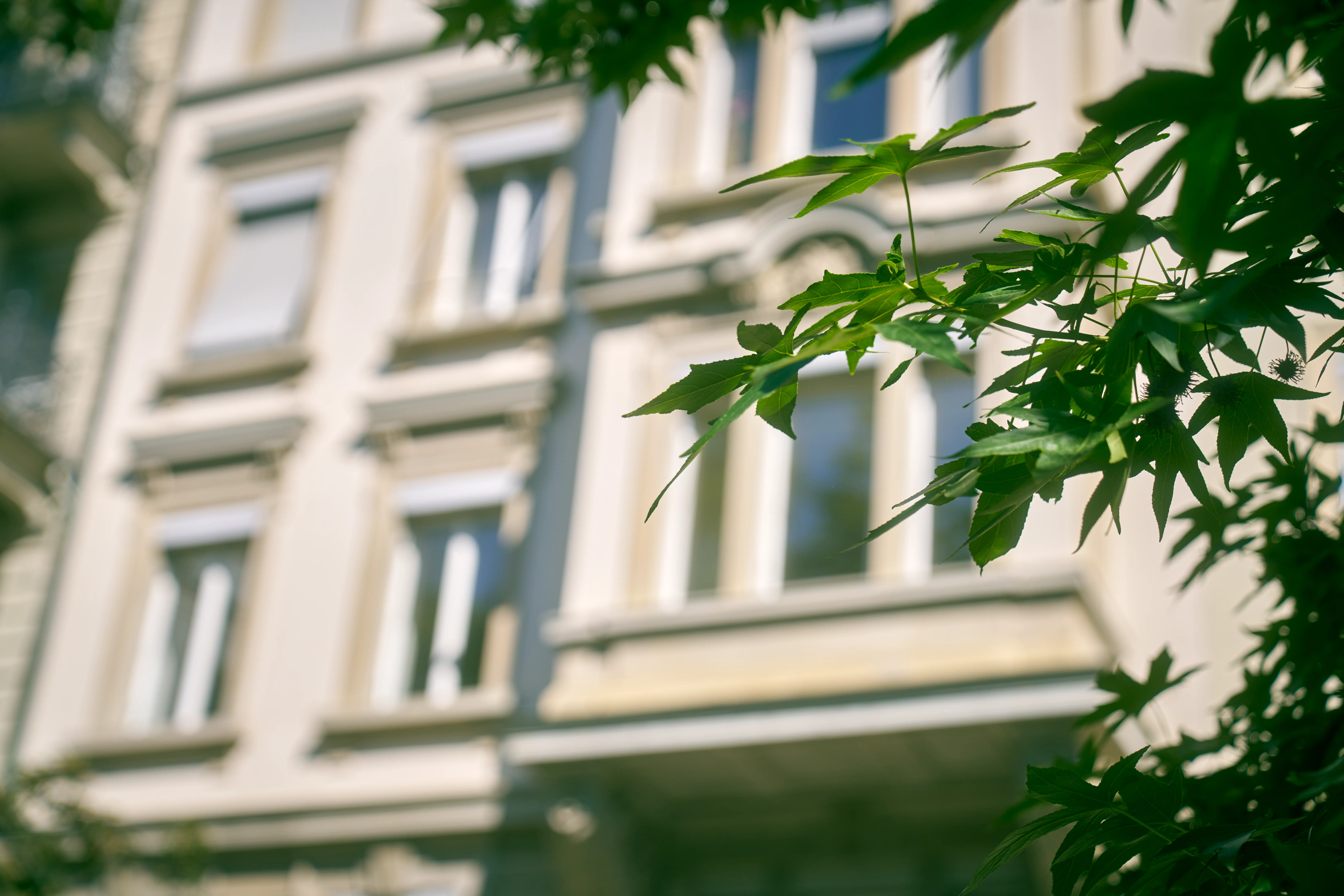 Client consultation session