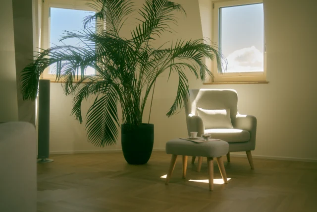 Luxury heroin addiction treatment setting at Paracelsus Recovery