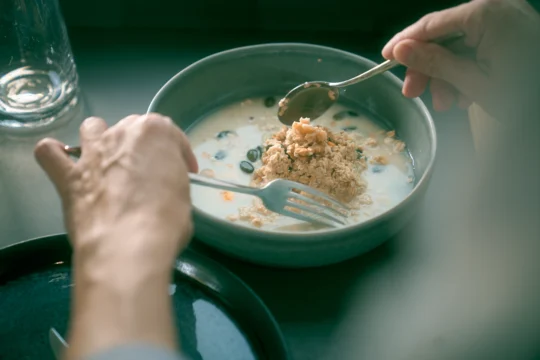 Therapeutic consultation for orthorexia nervosa treatment