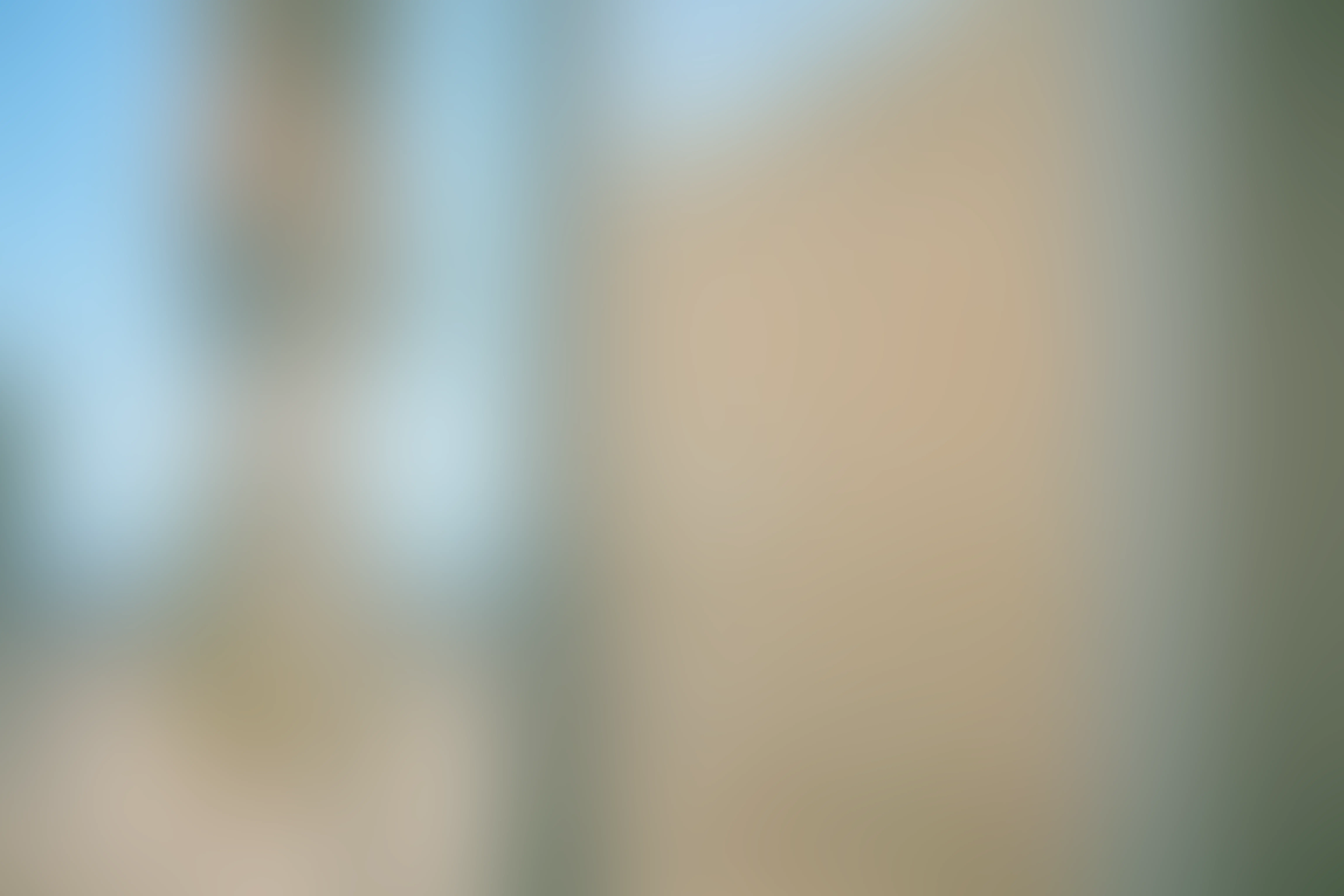 Holistic wellness therapy environment