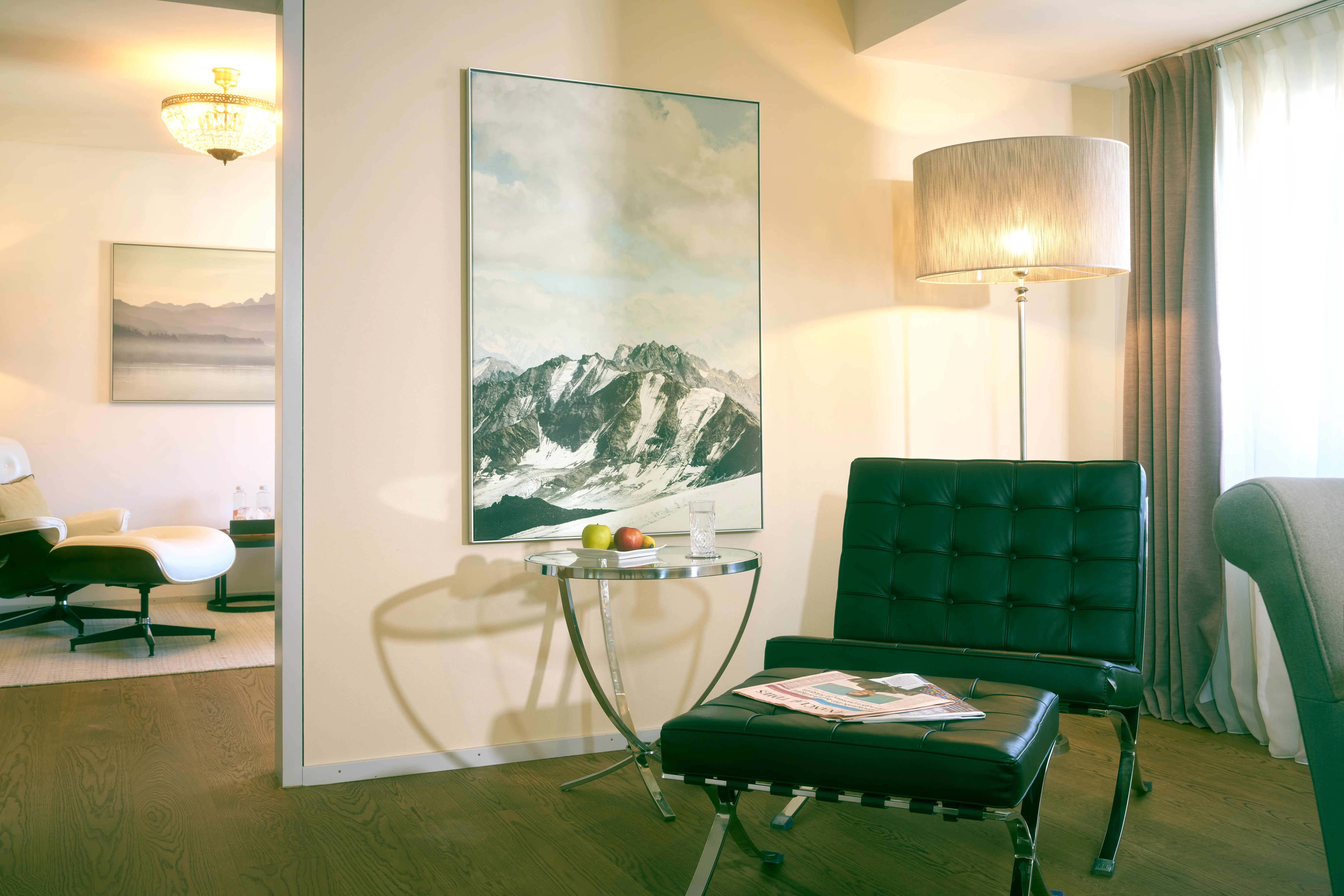 Paracelsus Recovery Apartment Zurich